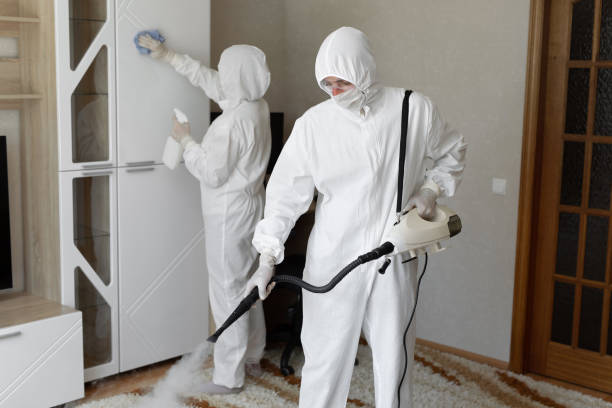 Biohazard Mold Removal